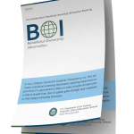 Reporte de Información sobre Beneficiarios Reales (BOI)